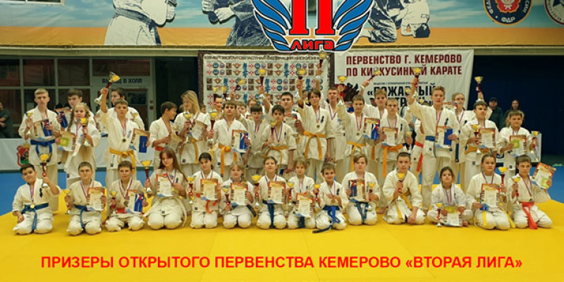 Открытое первенство Кемерово по кекусинкай